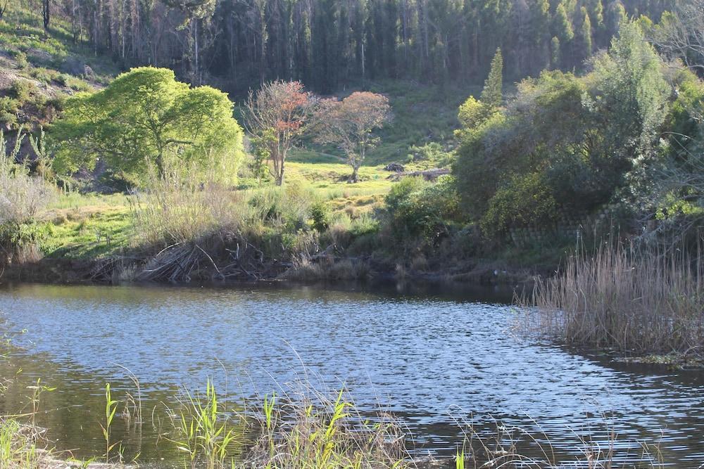 Blackwaters River Lodge, Knysna Eksteriør bilde