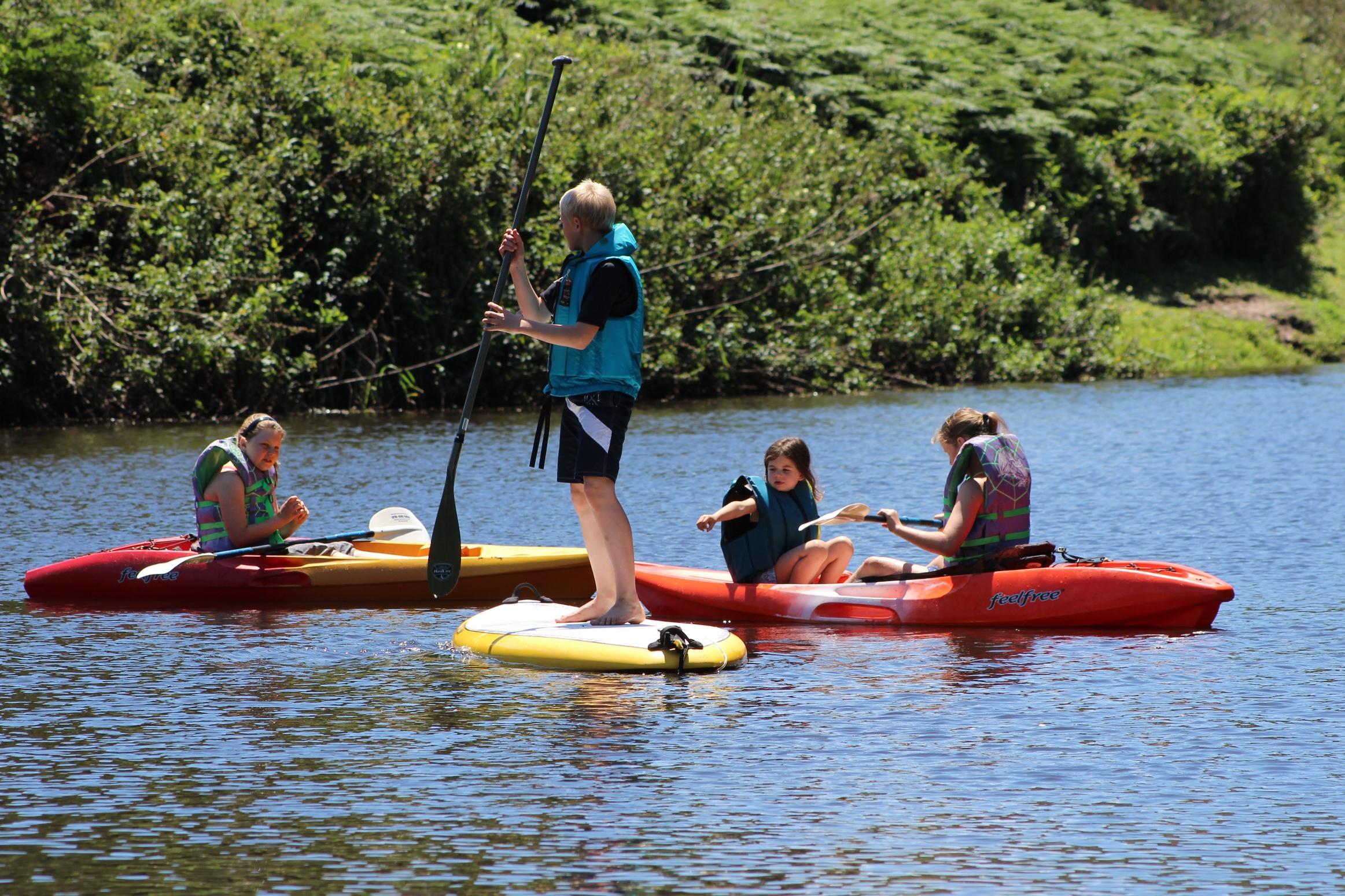 Blackwaters River Lodge, Knysna Eksteriør bilde