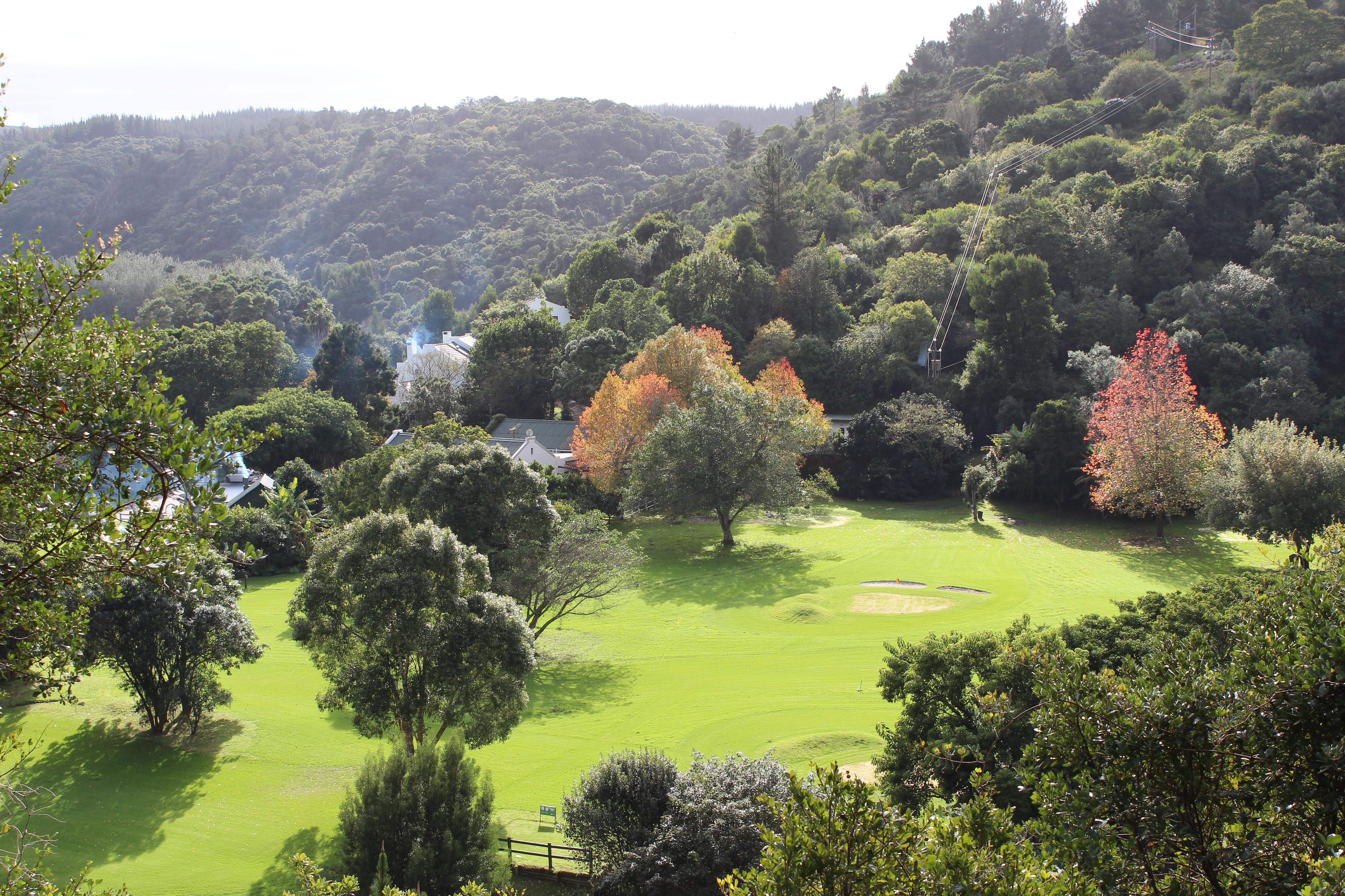 Blackwaters River Lodge, Knysna Eksteriør bilde