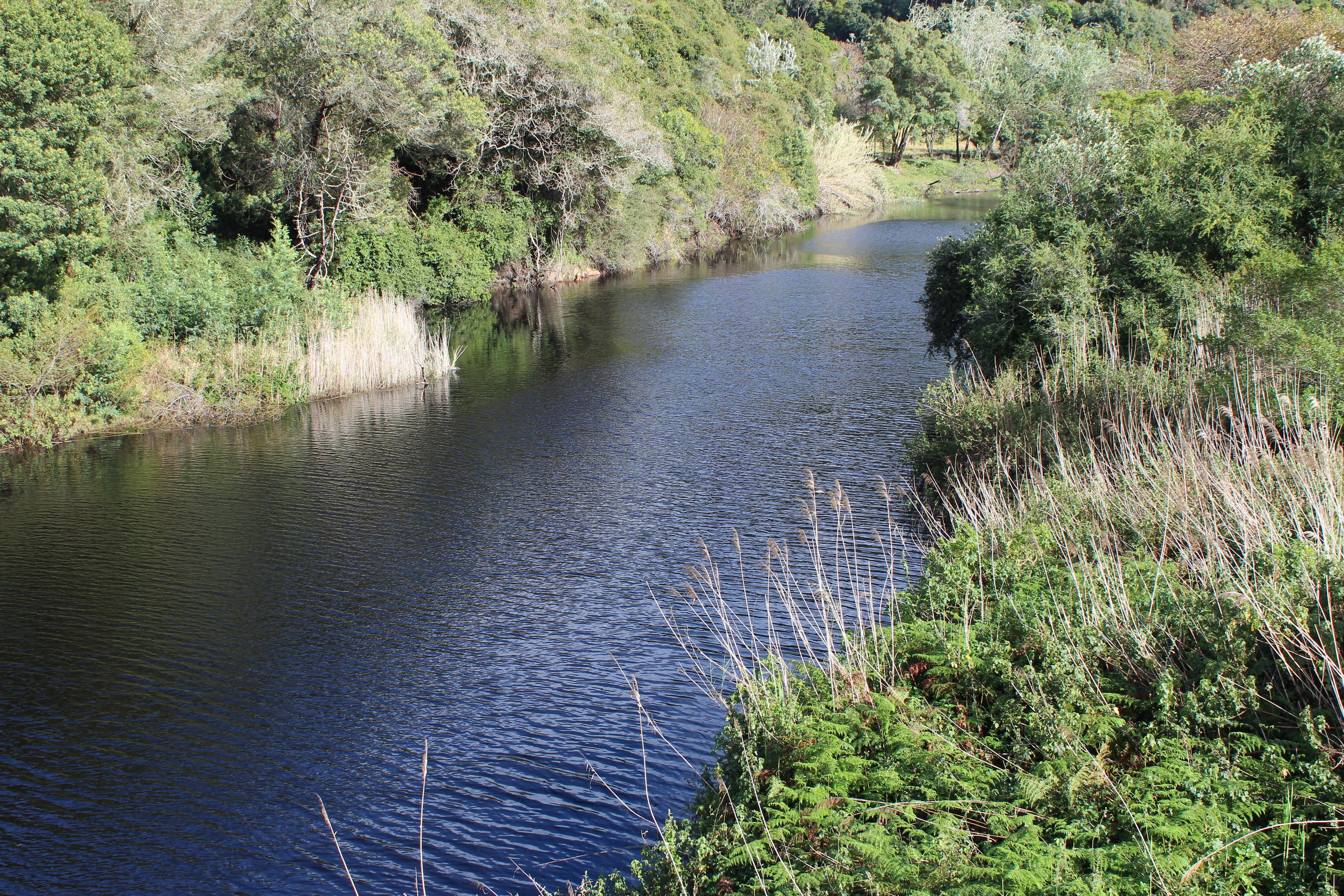 Blackwaters River Lodge, Knysna Eksteriør bilde