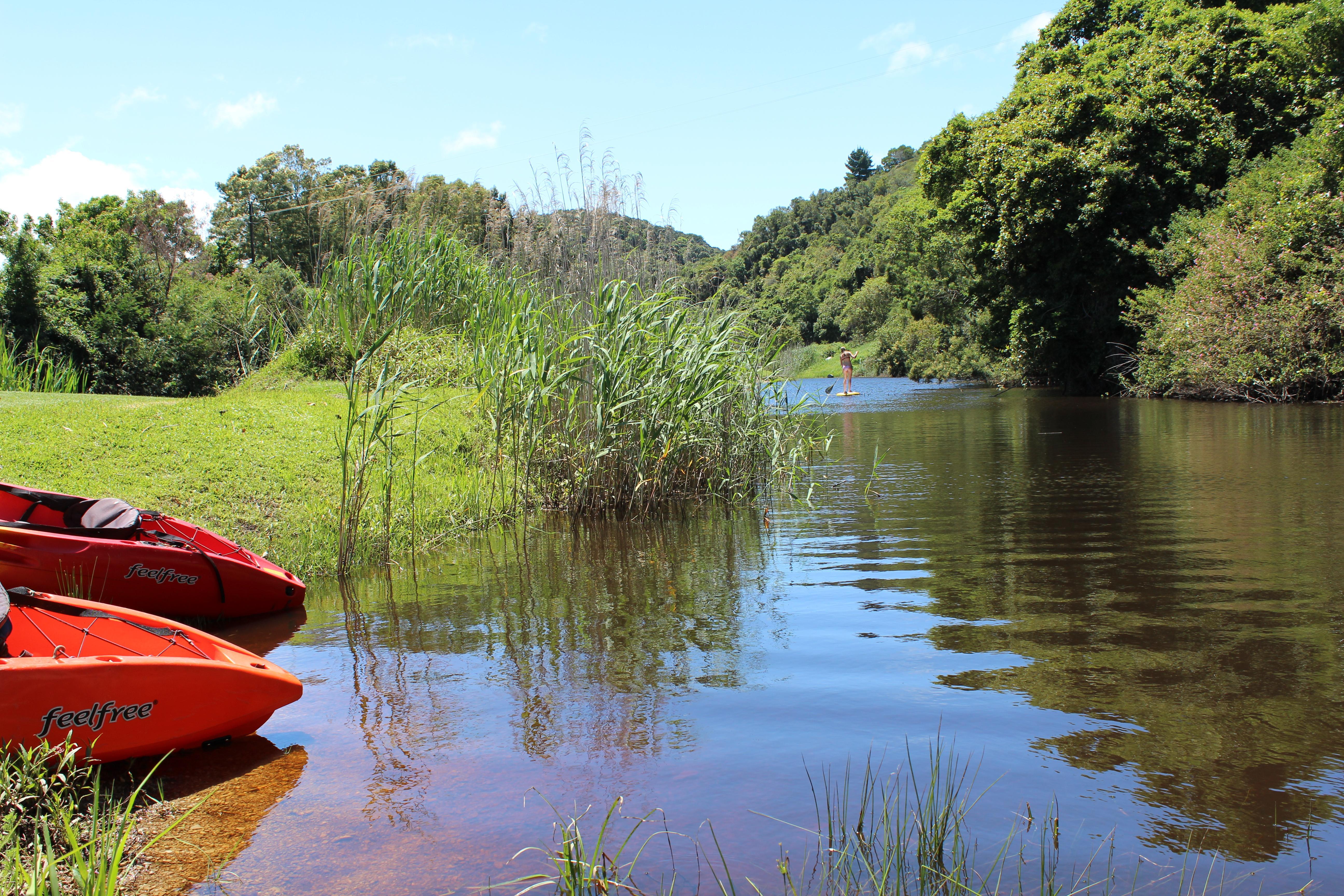 Blackwaters River Lodge, Knysna Eksteriør bilde